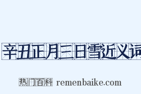 辛丑正月三日雪近义词是什么意思的图片